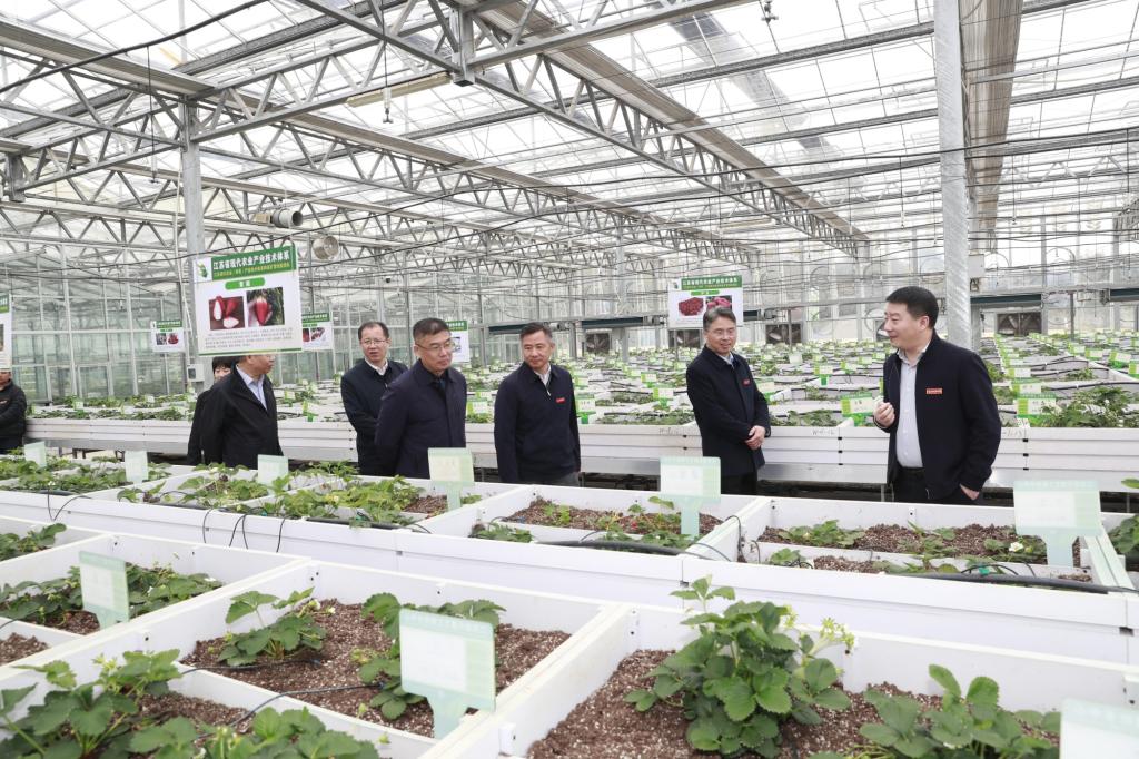 教育部职业教育发展中心来taptap官网调研